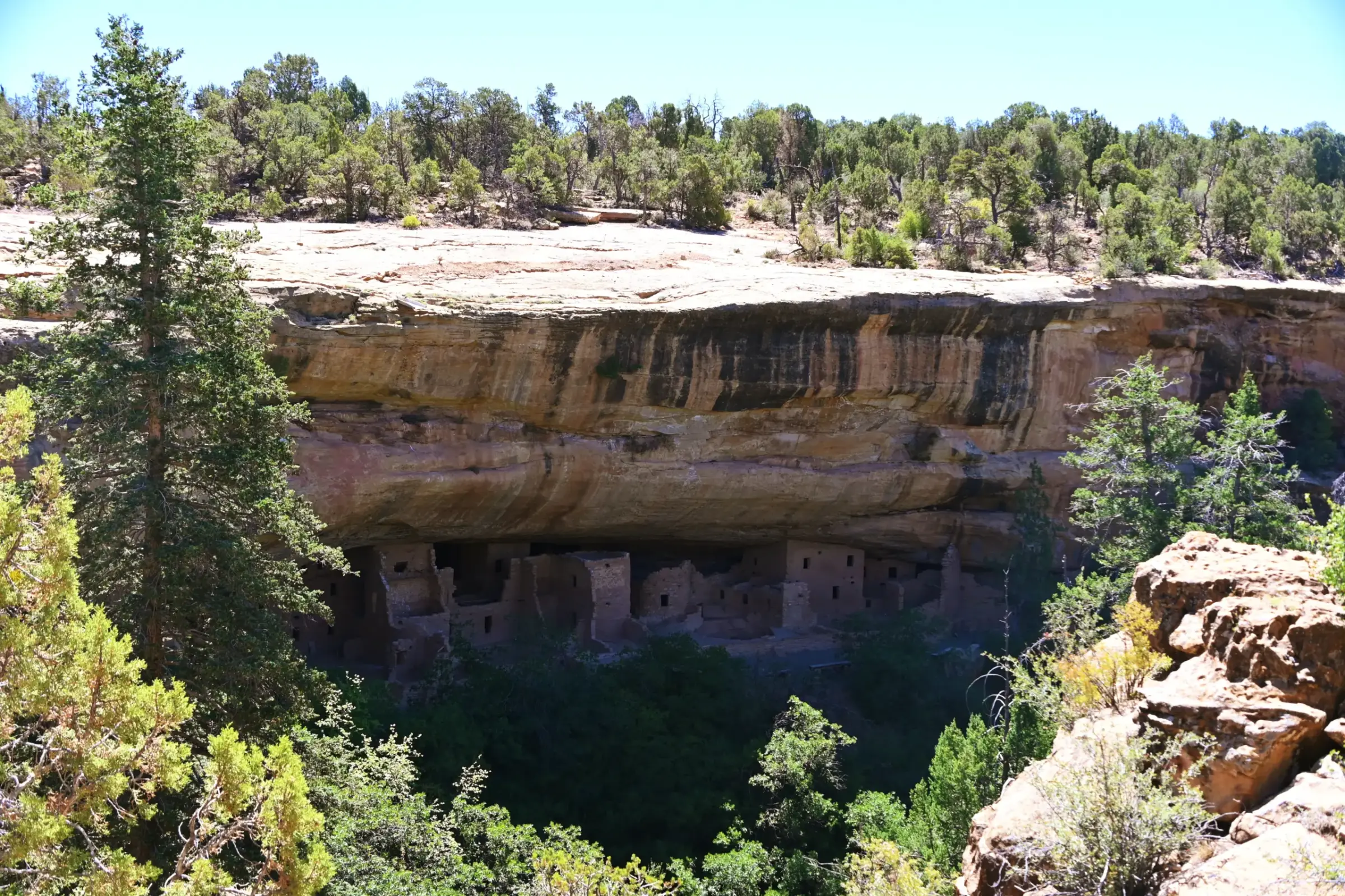 Ancient cliff dwellings sheltered beneath the sandstone alcoves of Mesa Verde