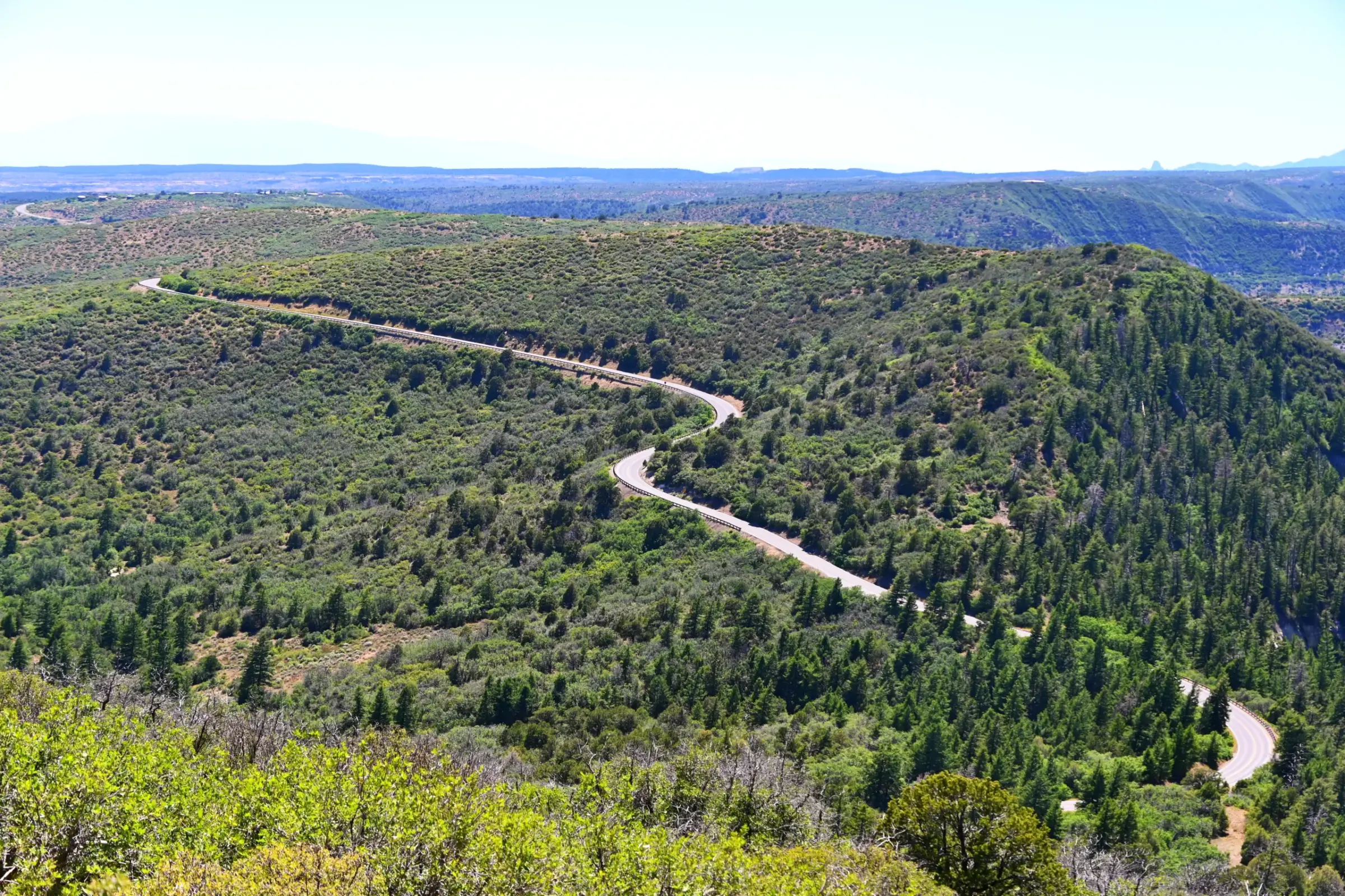 A winding mountain road through the forested mesas of southwestern Colorado.