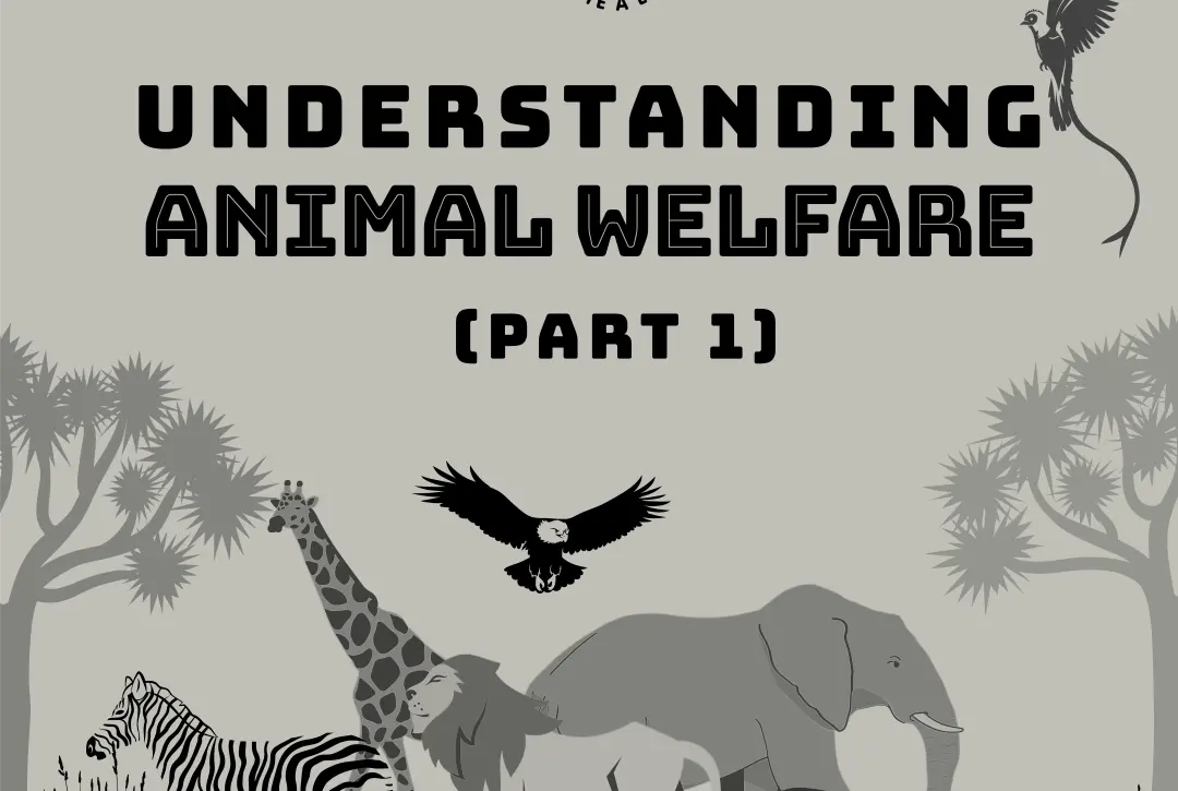 understanding-animal-welfare