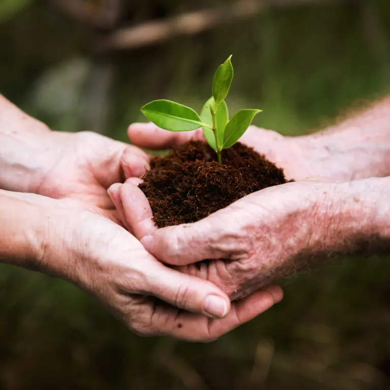 sustainable-development