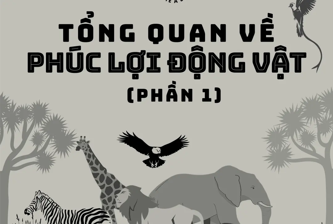 tong-quan-ve-phuc-loi-dong-vat