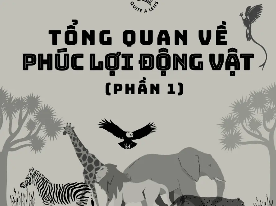 tong-quan-ve-phuc-loi-dong-vat